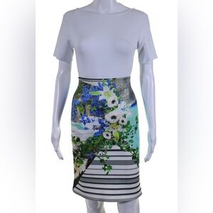 Clover Canyon Pencil Skirt